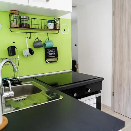 Nature Lover's Paradise In Julian Alps Apartment Mojstrana