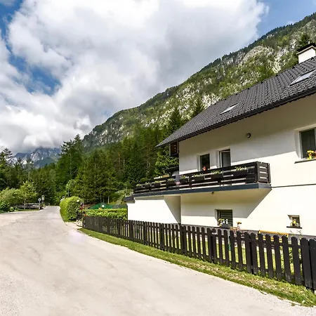 Apartment Nature Lover's Paradise In Julian Alps