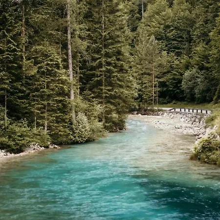 Nature Lover's Paradise In Julian Alps